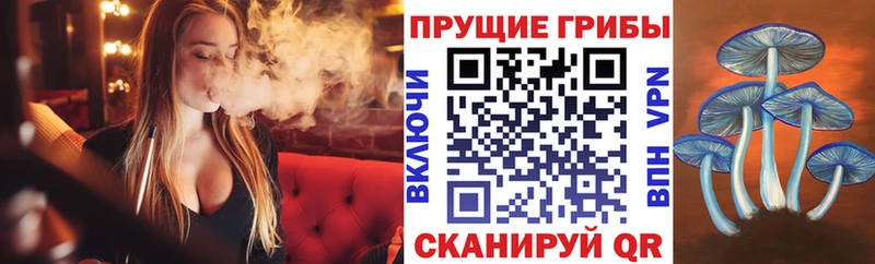 omg ССЫЛКА  Жиздра  Псилоцибиновые грибы MAGIC MUSHROOMS  закладки 